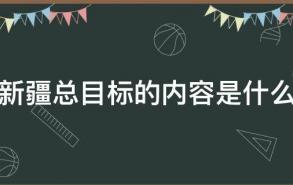 新疆总目标的内容是什么