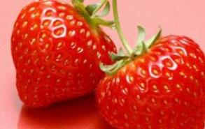 冬季是吃草莓的季节吗