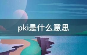 pki是什么意思