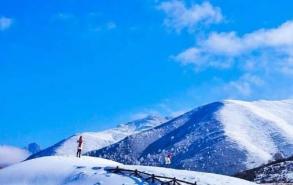 鹧鸪山海拔多少米