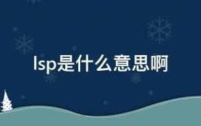 lsp是什么意思啊