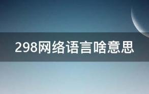 298网络语言啥意思