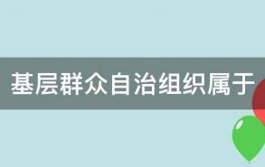 基层群众自治组织属于