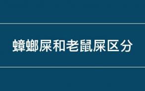 蟑螂屎和老鼠屎区分