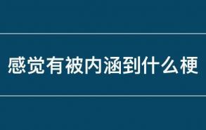 感觉有被内涵到什么梗