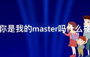 你是我的master吗什么梗