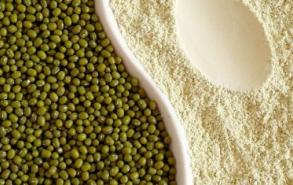 一斤绿豆能出多少淀粉