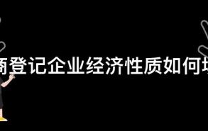 工商登记企业经济性质如何填写