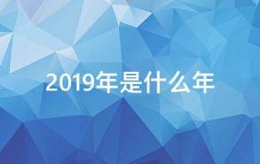 2019年是什么年