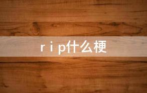 r i p什么梗