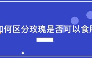 如何区分玫瑰是否可以食用