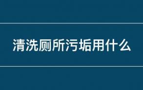 清洗厕所污垢用什么