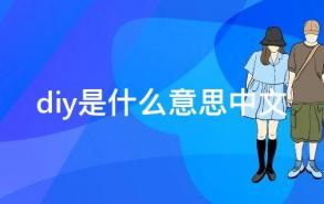 diy是什么意思中文