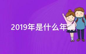 2019年是什么年啊