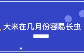 大米在几月份容易长虫