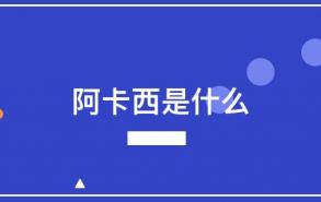 阿卡西是什么