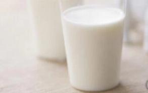 为什么打奶泡要用冷藏的牛奶