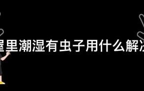 屋里潮湿有虫子用什么解决