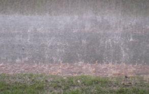 暴雨引发的地质灾害有哪些