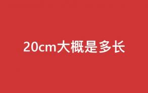 20cm大概是多长