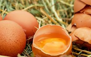 煮鸡蛋蛋黄表面灰色的是什么