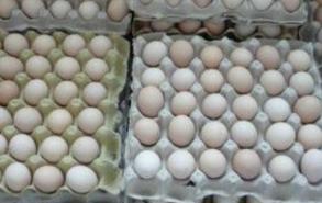 虫草蛋和普通的鸡蛋有什么区别