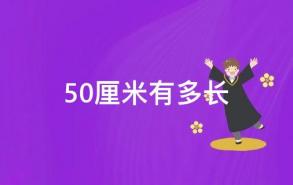 50厘米有多长