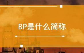 BP是什么简称