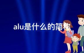 alu是什么的简称