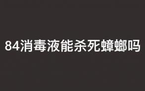 84消毒液能杀死蟑螂吗