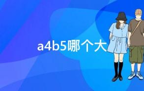 a4b5哪个大