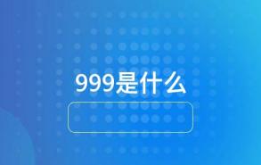 999是什么