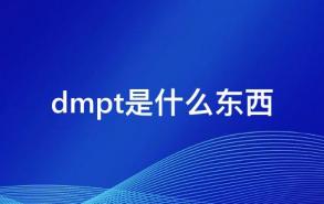 dmpt是什么东西