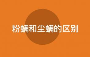 粉螨和尘螨的区别