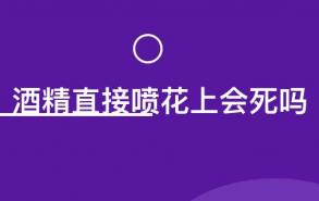 酒精直接喷花上会死吗