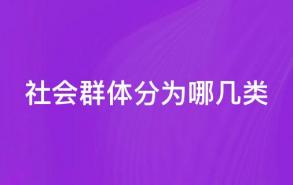 社会群体分为哪几类