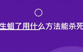 生蛆了用什么方法能杀死